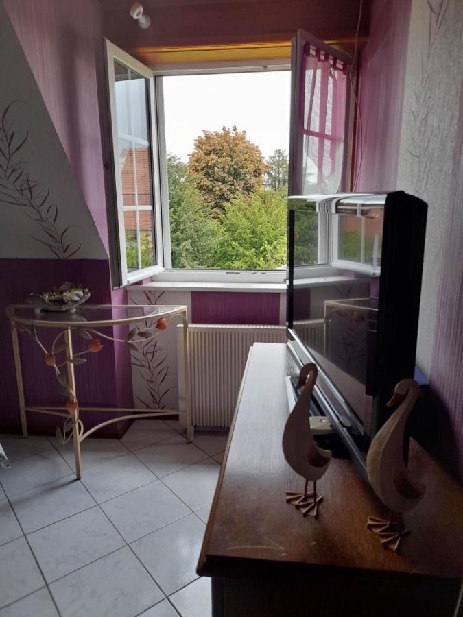 Gite Le Jardin De Hermolsheim. Alsace Tres Spacieux Мютзиг Екстериор снимка