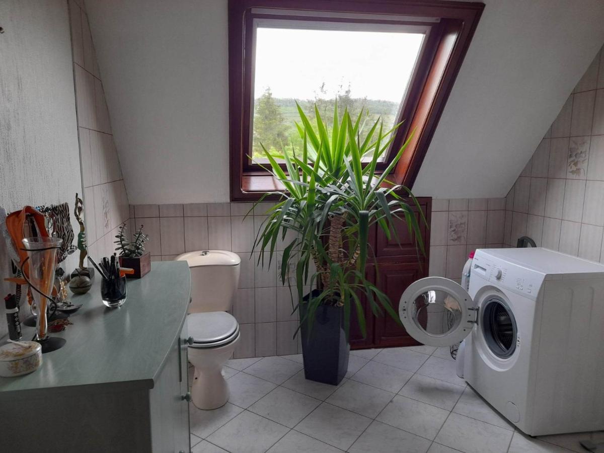 Gite Le Jardin De Hermolsheim. Alsace Tres Spacieux Мютзиг Екстериор снимка